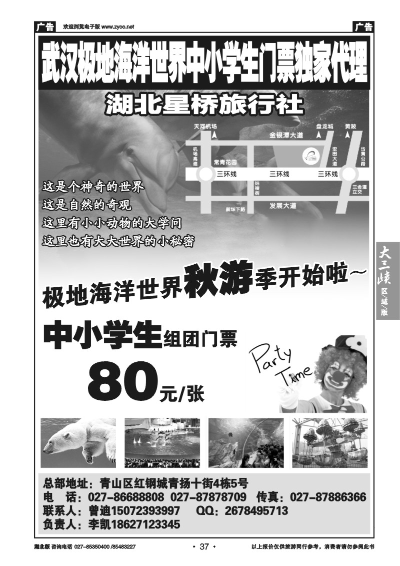 b037极地海洋世界中小学生门票独家代理—湖北星桥旅行社