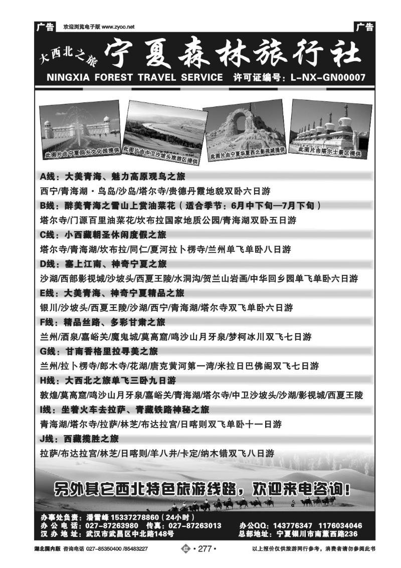 r277宁夏森林旅行社（二）