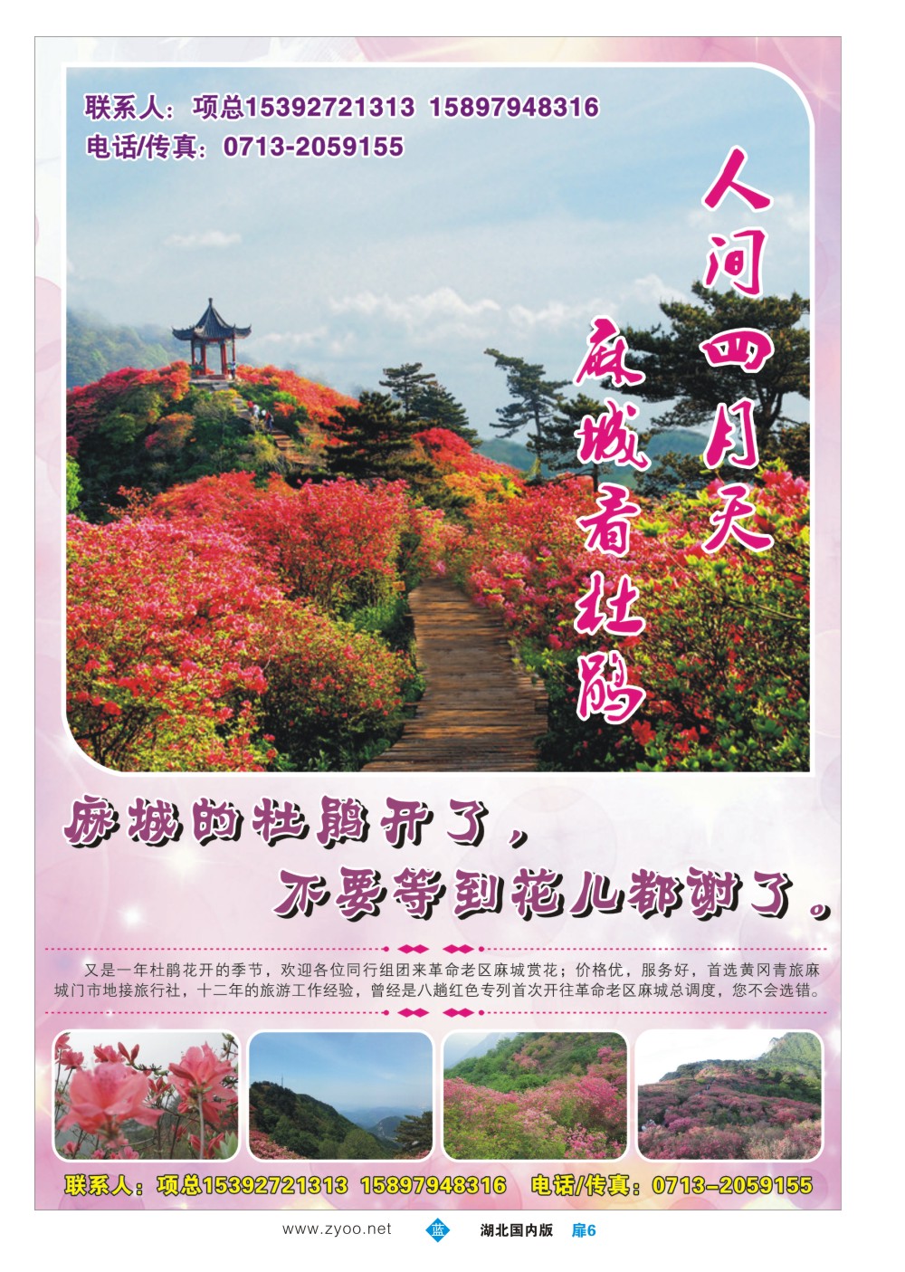 1006扉-麻城赏花专业地接旅行社
