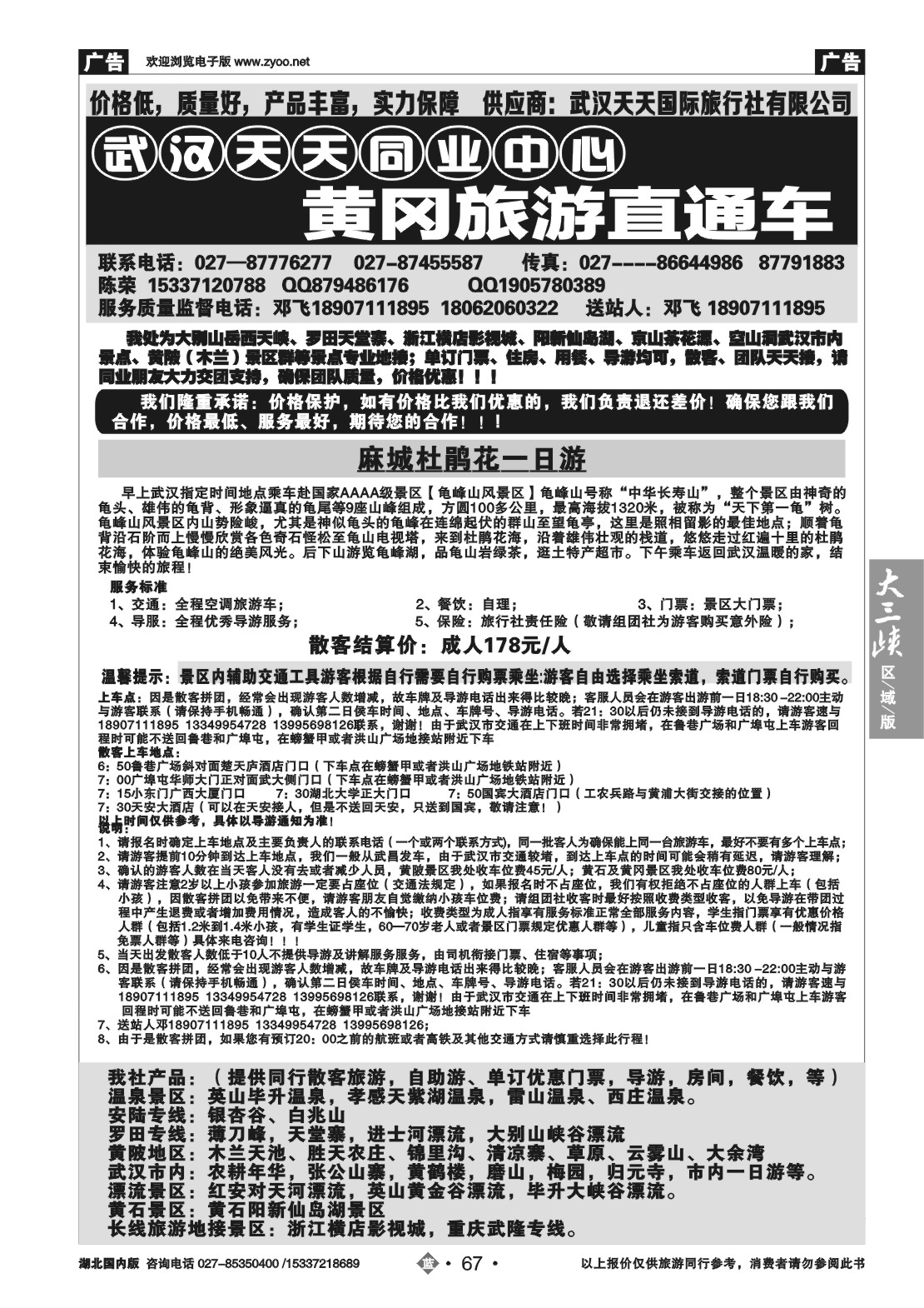 2067武汉天天--麻城杜鹃花