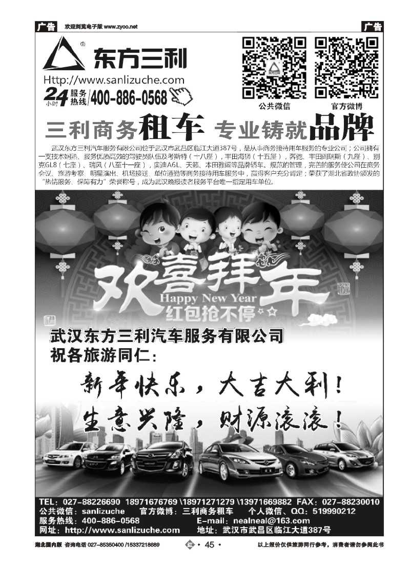 512ZHN045武汉东方三利汽车服务有限公司