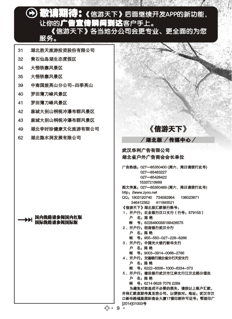 513ZLN009国内蓝版目录
