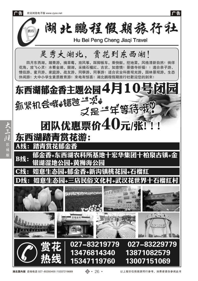 517ZLN026湖北鹏程假期旅行社有限公公司