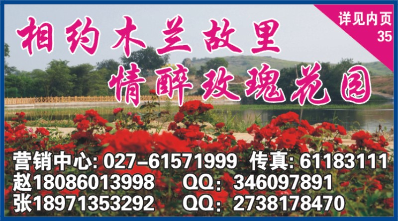 517ZLF006木兰玫瑰花园