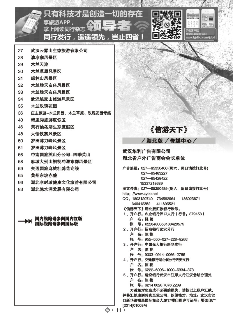 517ZLN011国内蓝版目录
