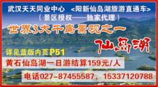 519ZHF006武汉天天国际