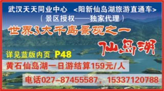 521ZHF006武汉天天国际