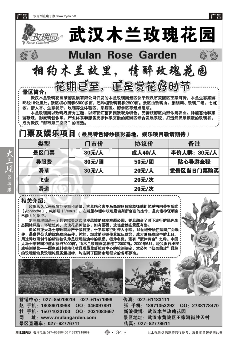 521ZLN034木兰玫瑰花园