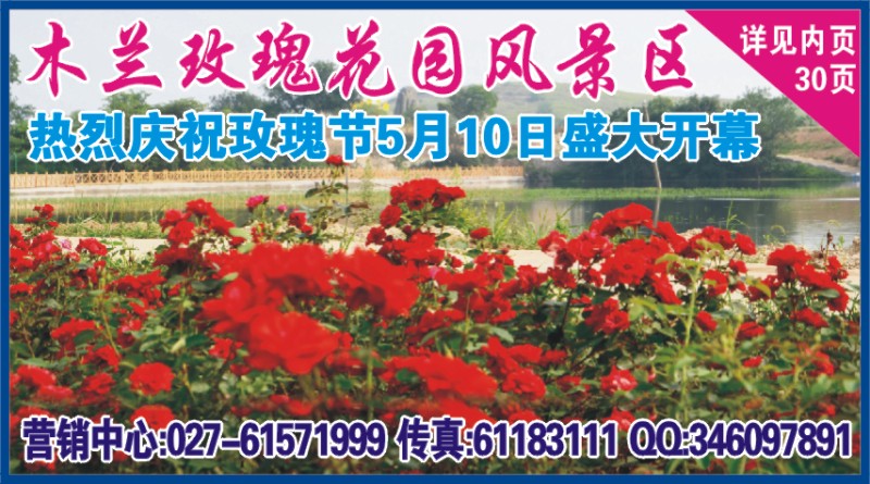 522ZLF006木兰玫瑰花园