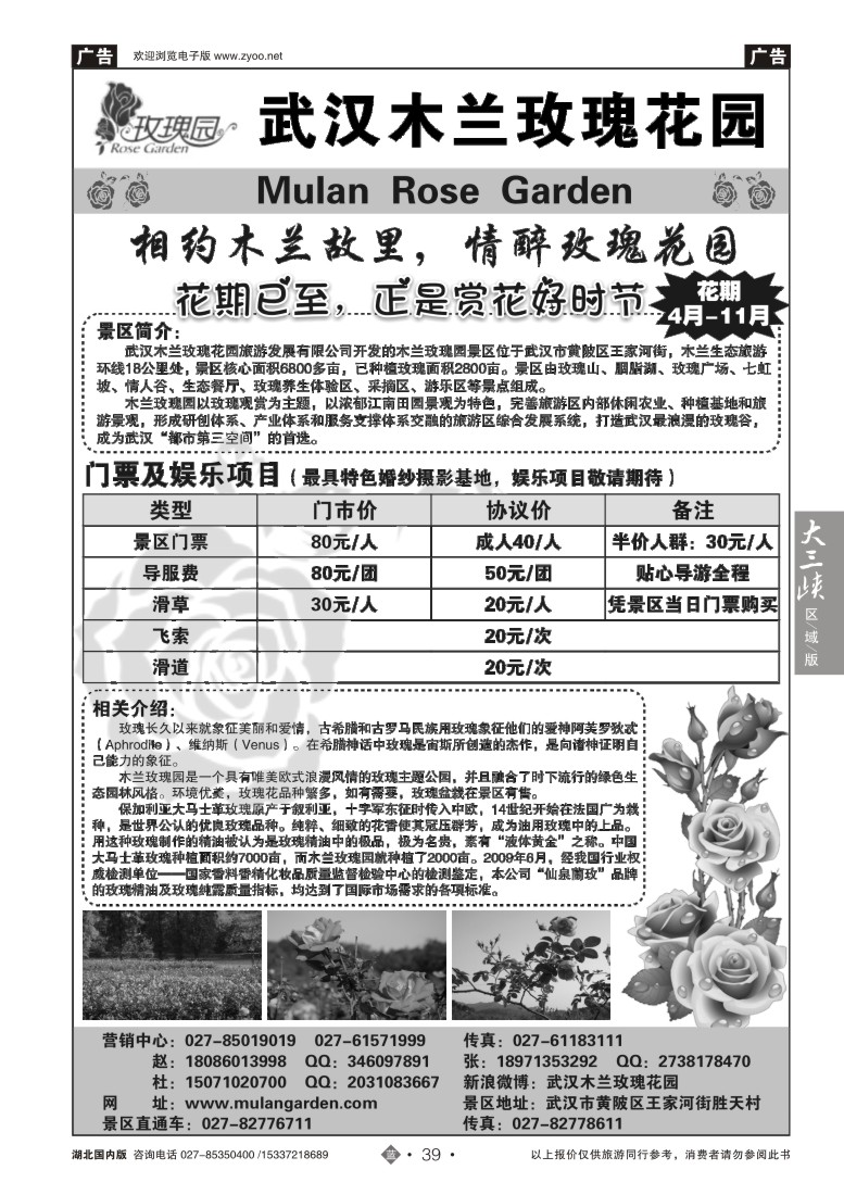 526ZLN039木兰玫瑰花园