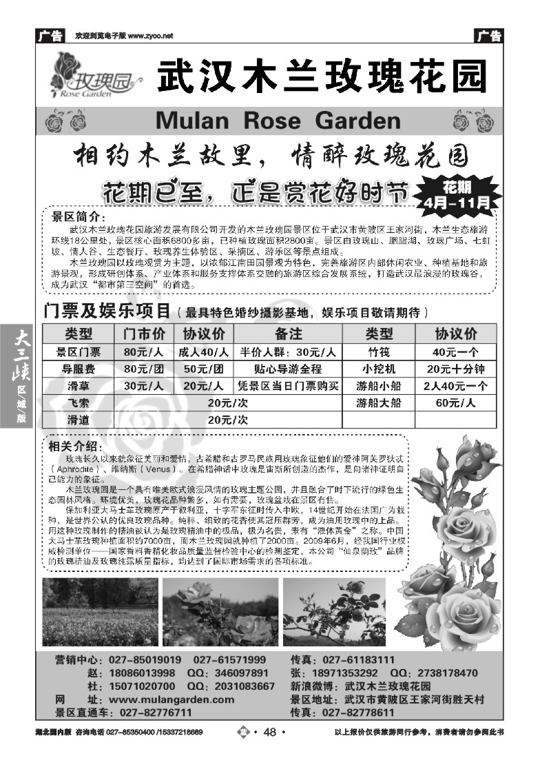 530ZLN048木兰玫瑰花园
