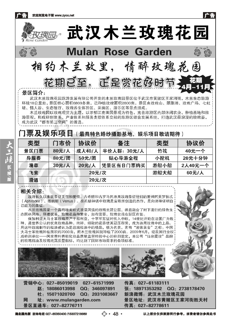 534ZLN048木兰玫瑰花园