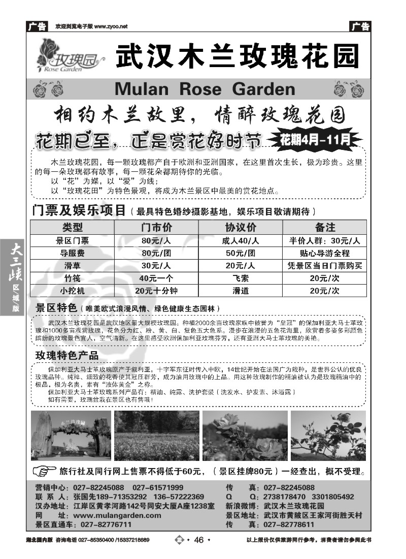 536ZLN046木兰玫瑰花园