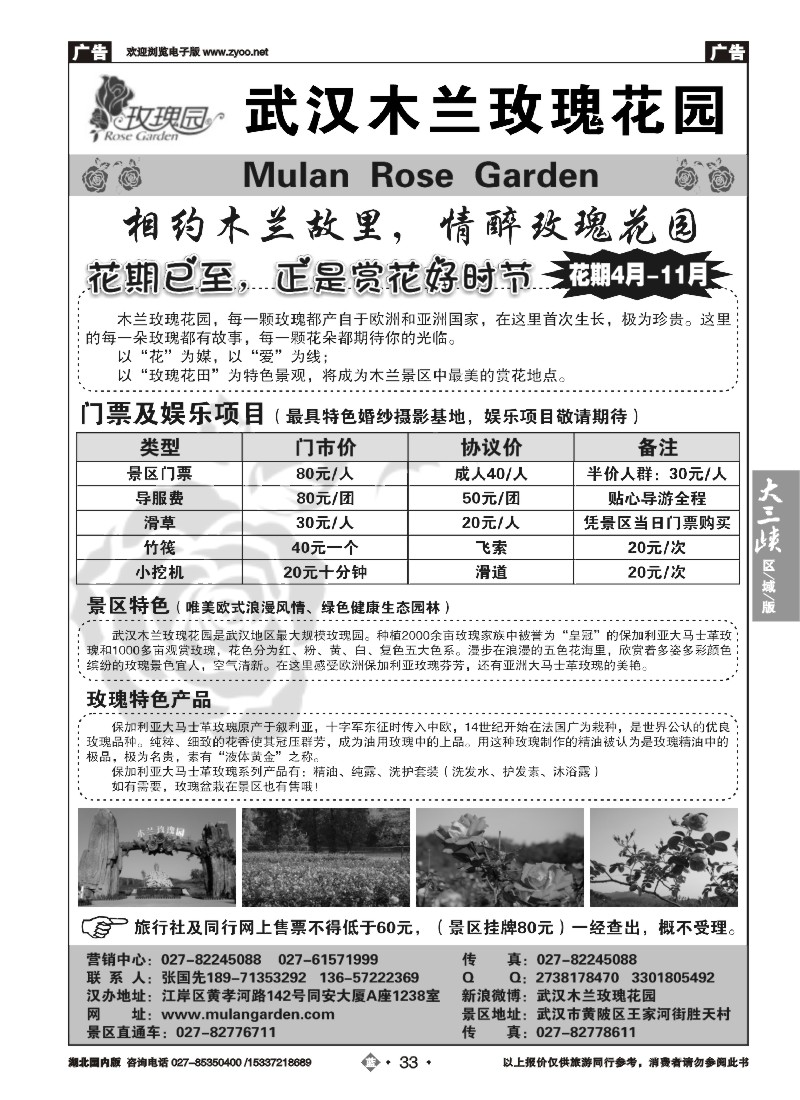 539ZLN033木兰玫瑰花园