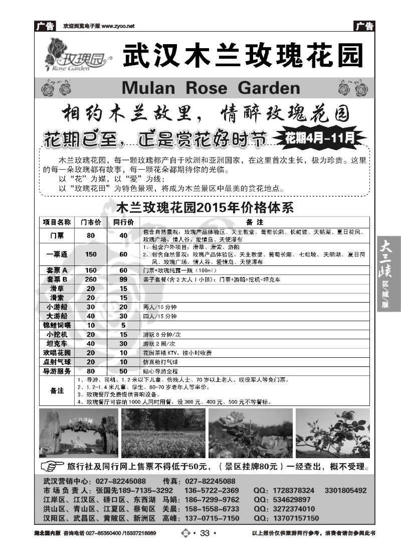 540ZLN033木兰玫瑰花园