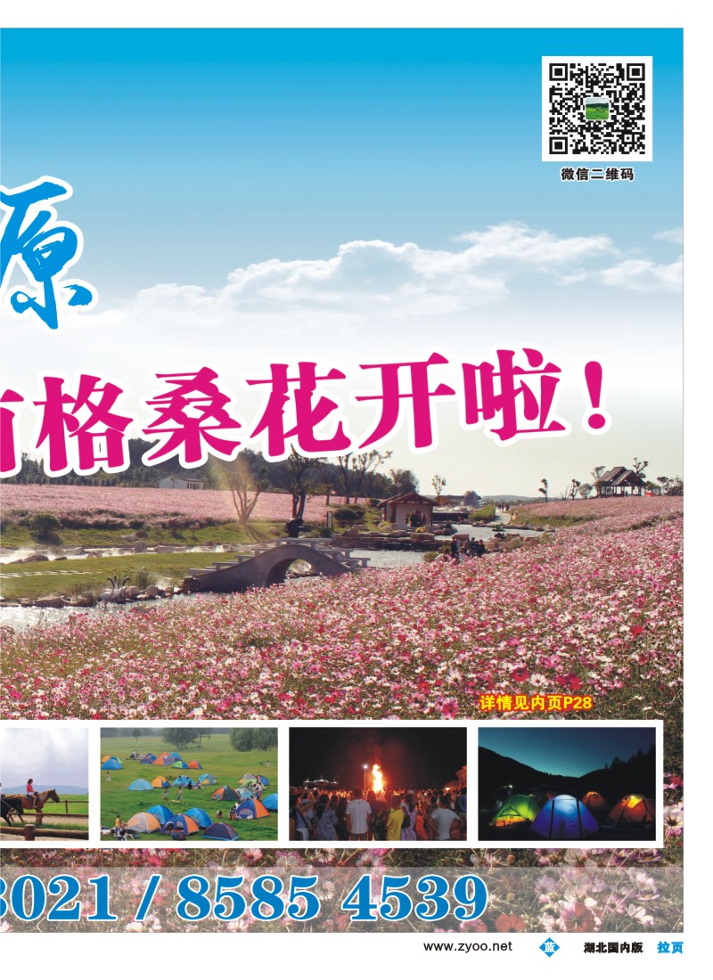 543ZLF004木兰草原风景区