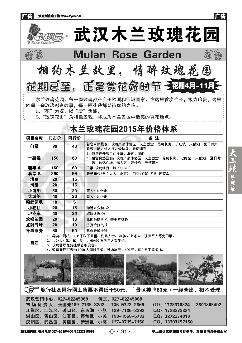 543ZLN031木兰玫瑰花园