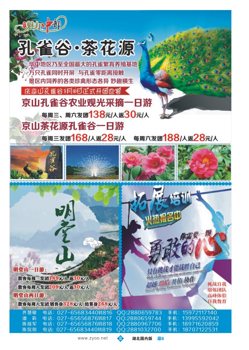 563ZLC006魅力中部