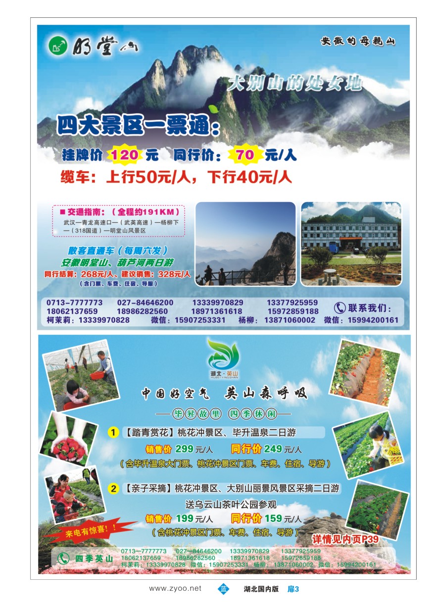 564ZLC003中南国旅英山分公司-四季英山