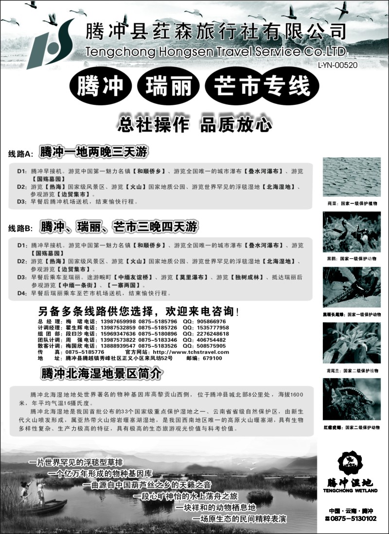 c36 云南腾冲荭森旅行社-腾冲、瑞丽、芒市专线