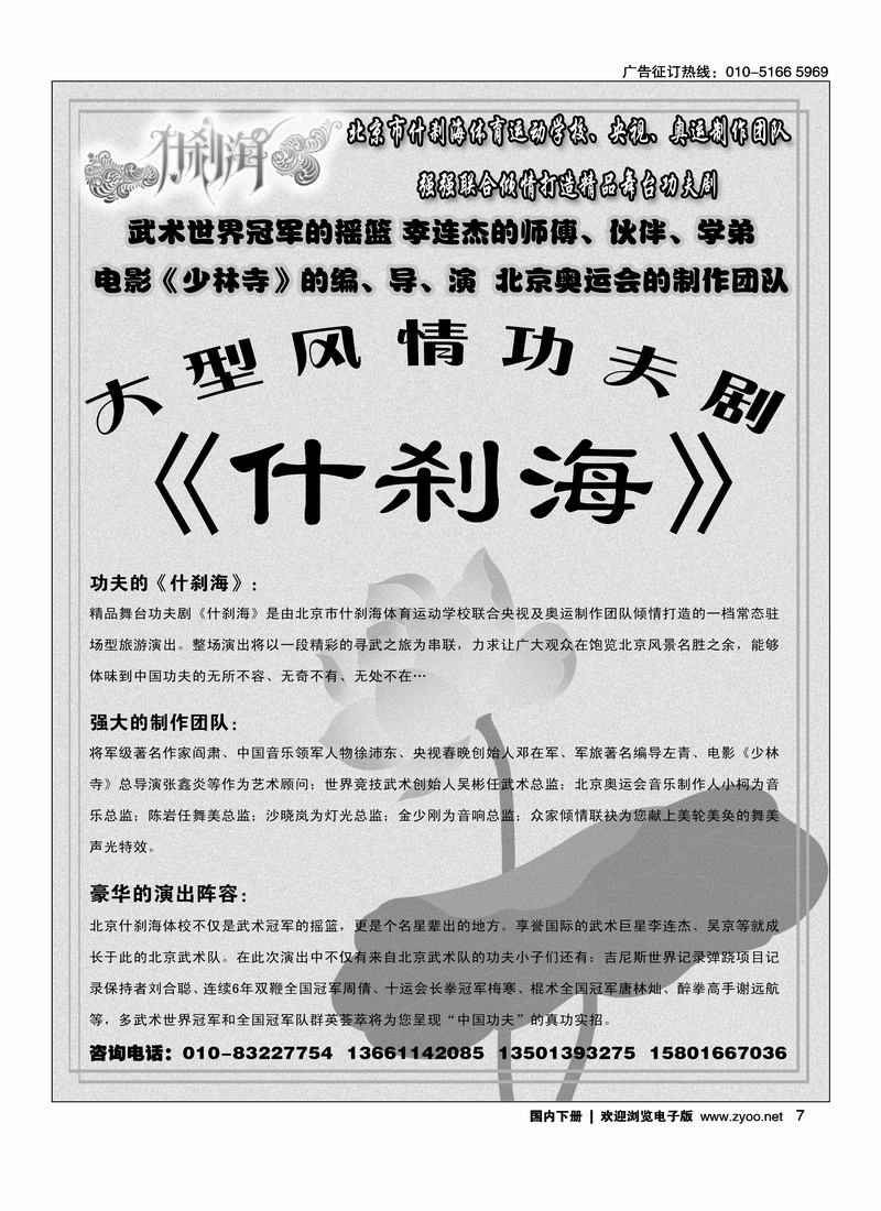 大型功夫剧什刹海7