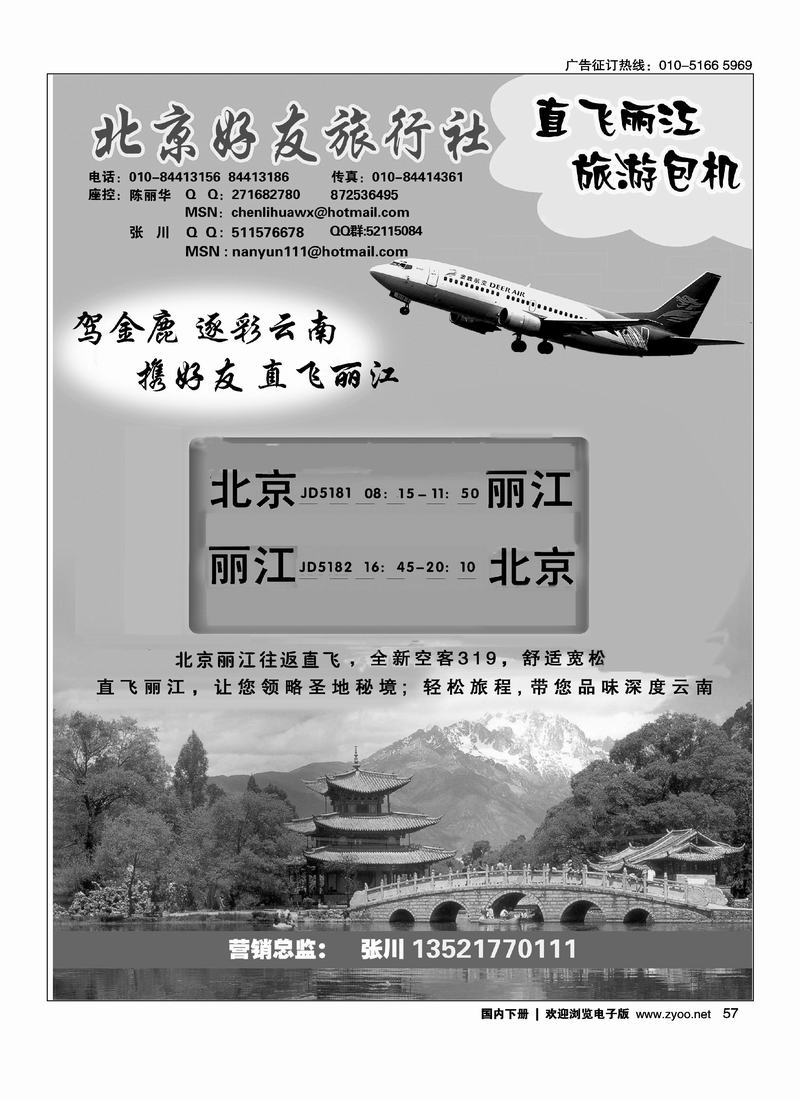 金鹿包机