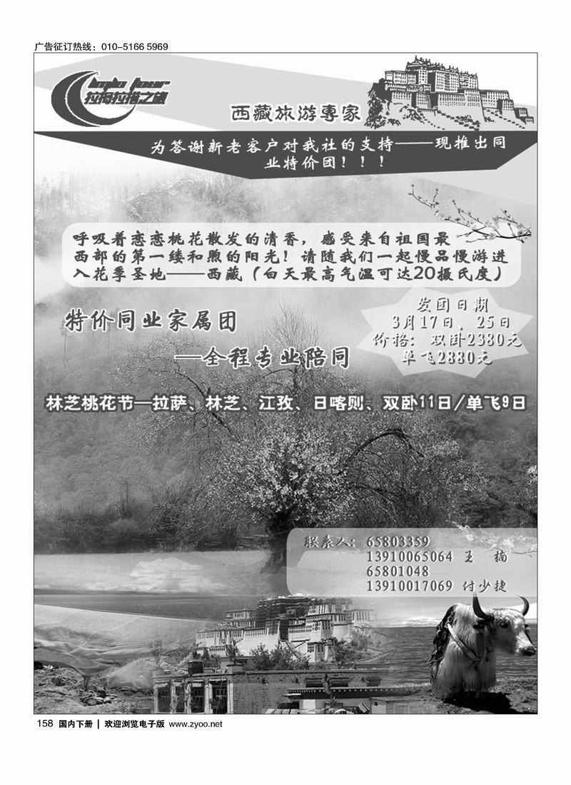西部专家—西藏