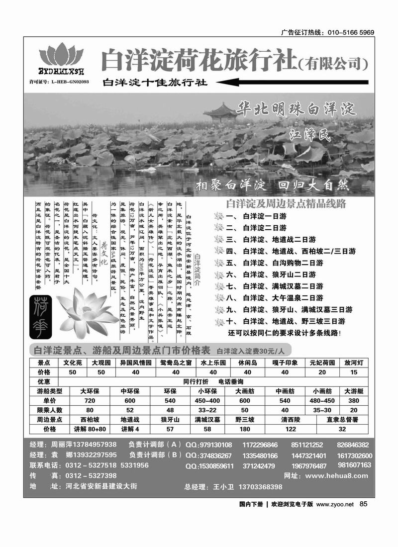 白洋淀荷花旅行社有限公司