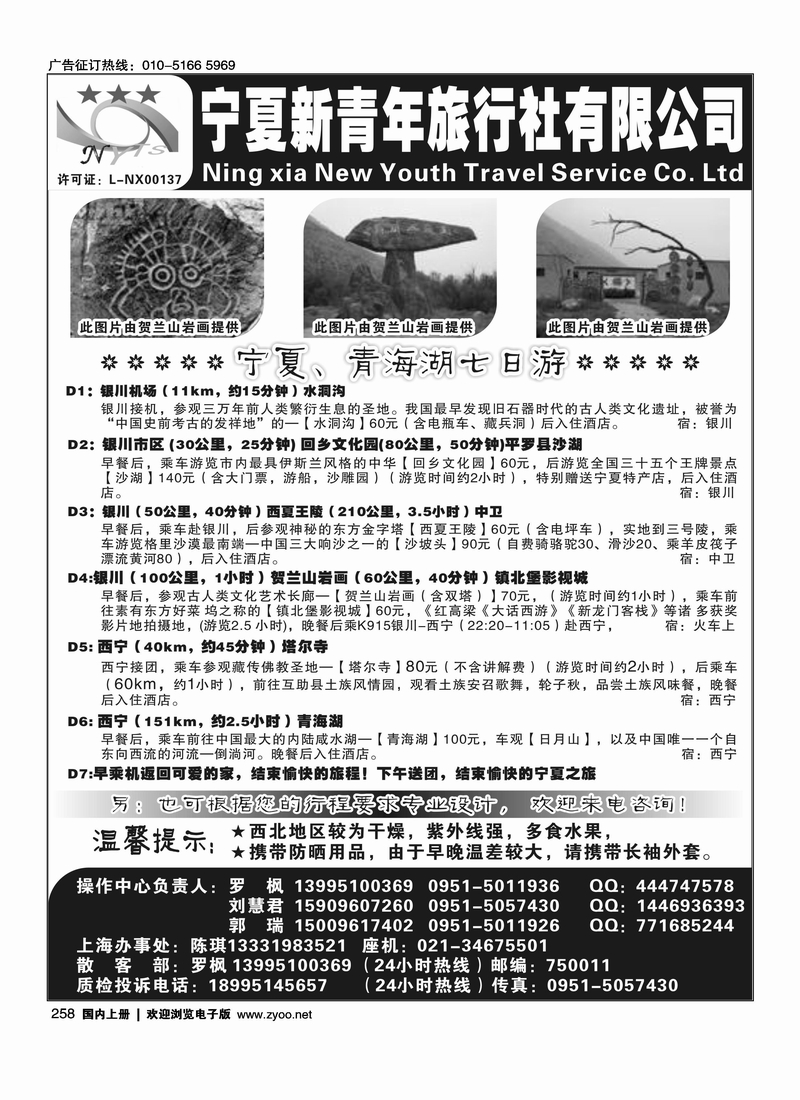宁夏新青年旅行社有限公司