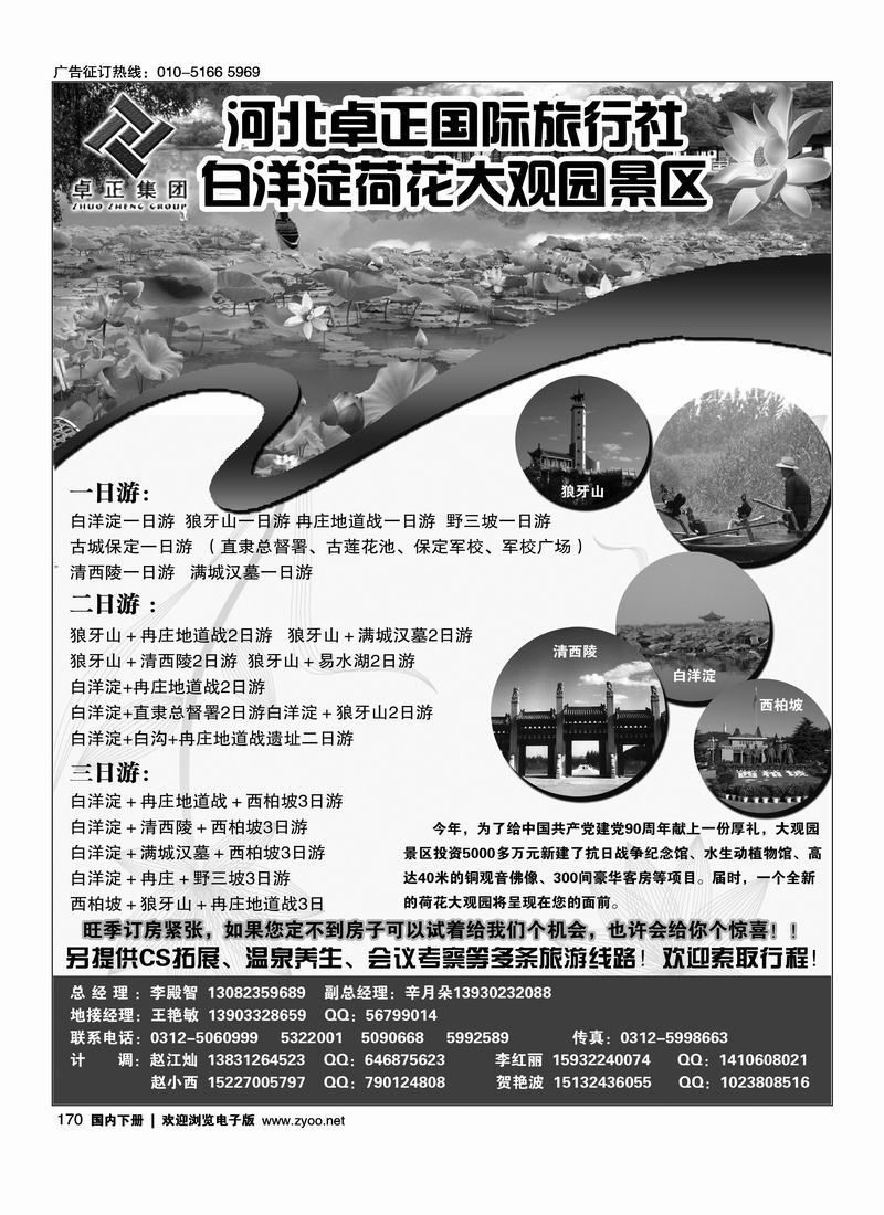 白洋淀专业地接