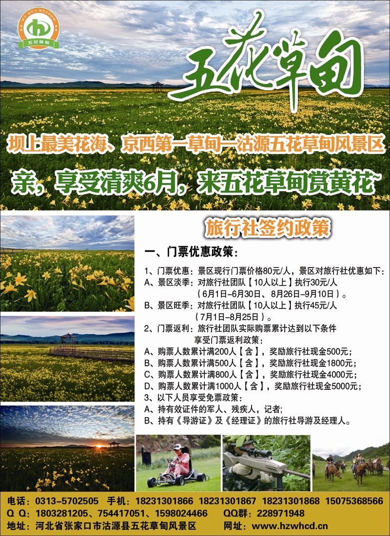 五花草甸