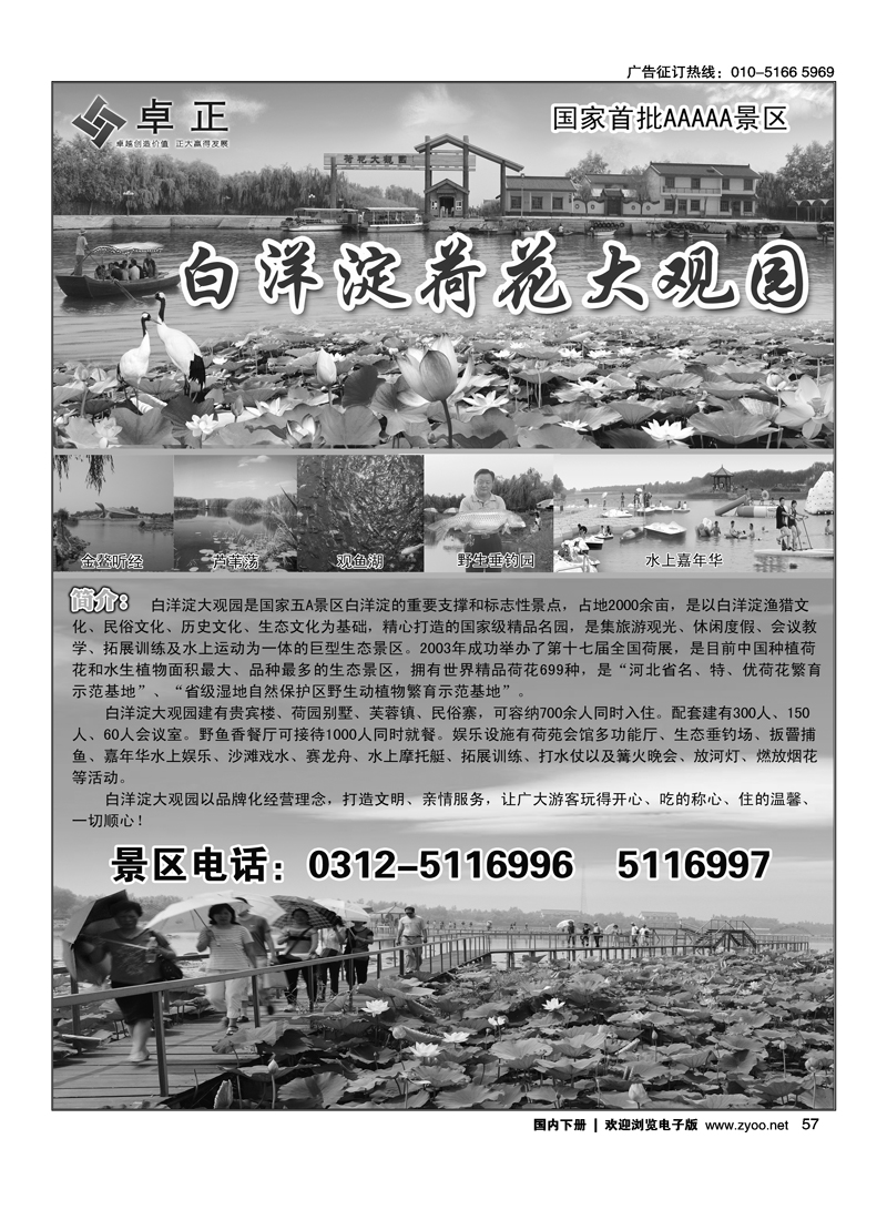 白洋淀王牌景区荷花大观园