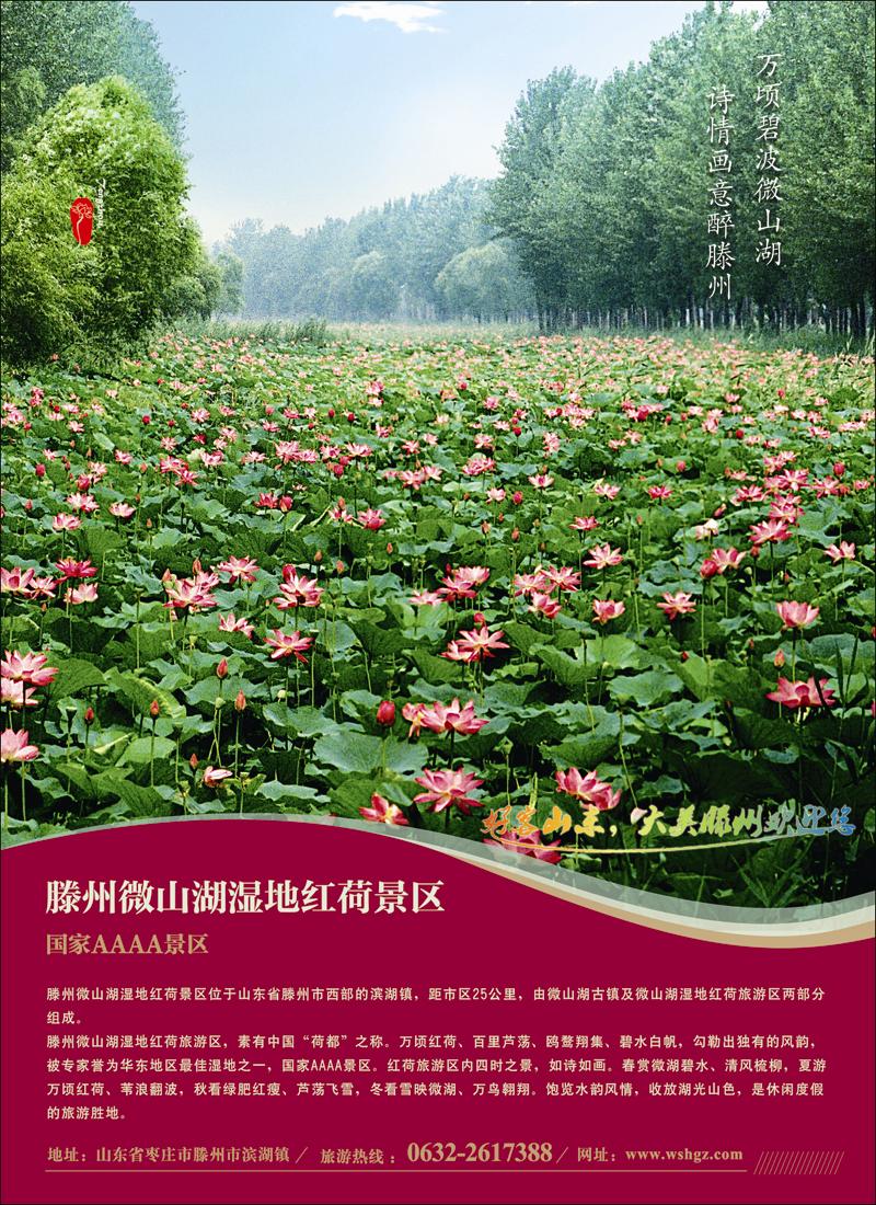 彩2 山东省滕州市微山湖湿地红荷风景区