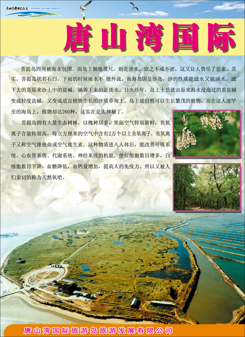 封二唐山湾国际旅游岛