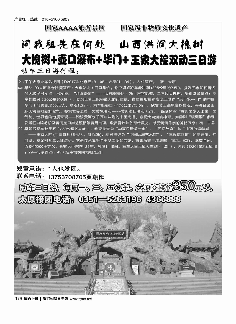 176山西洪洞大槐树景区