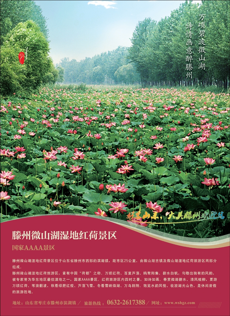 彩2山东省滕州市微山湖湿地红荷风景区