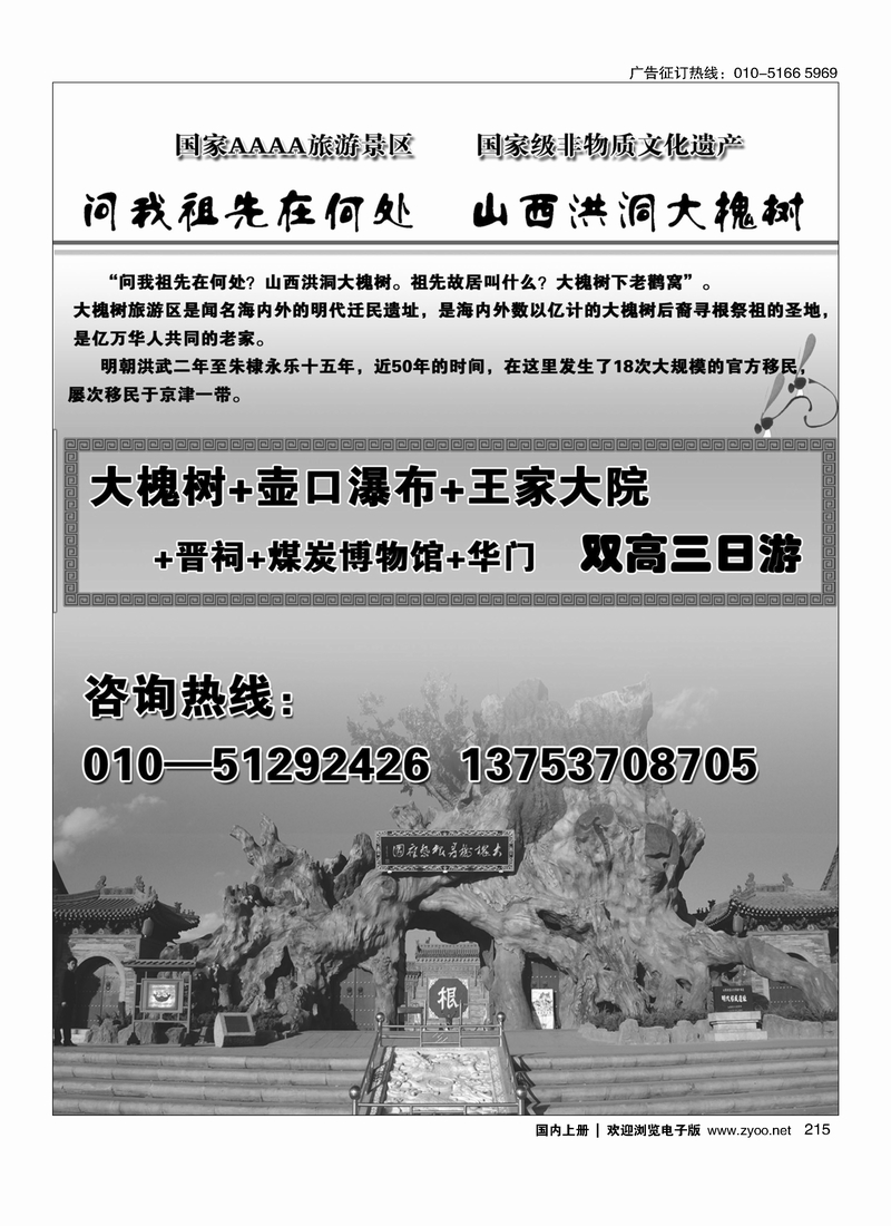 215山西洪洞大槐树景区