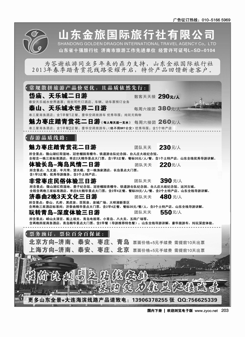 203山东地接--山东金旅国际旅行社