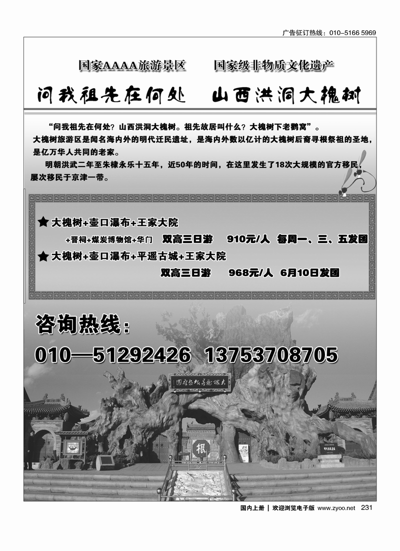 231山西洪洞大槐树景区