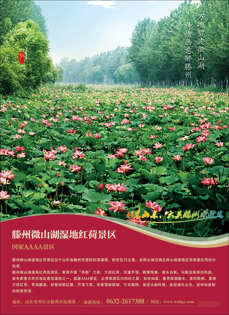 彩4山东省滕州市微山湖湿地红荷风景区
