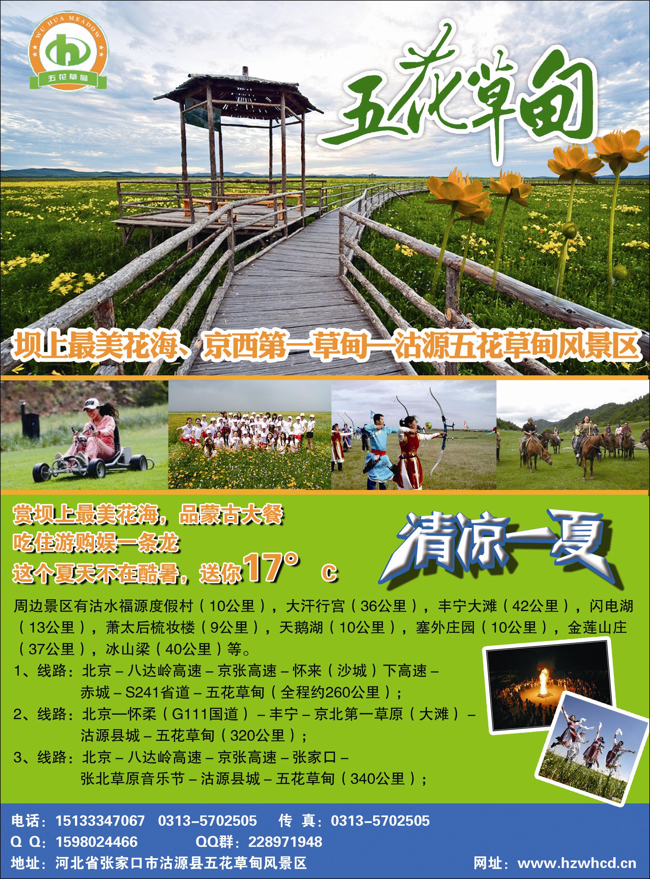 彩9清凉草原花海·坝上五花草甸