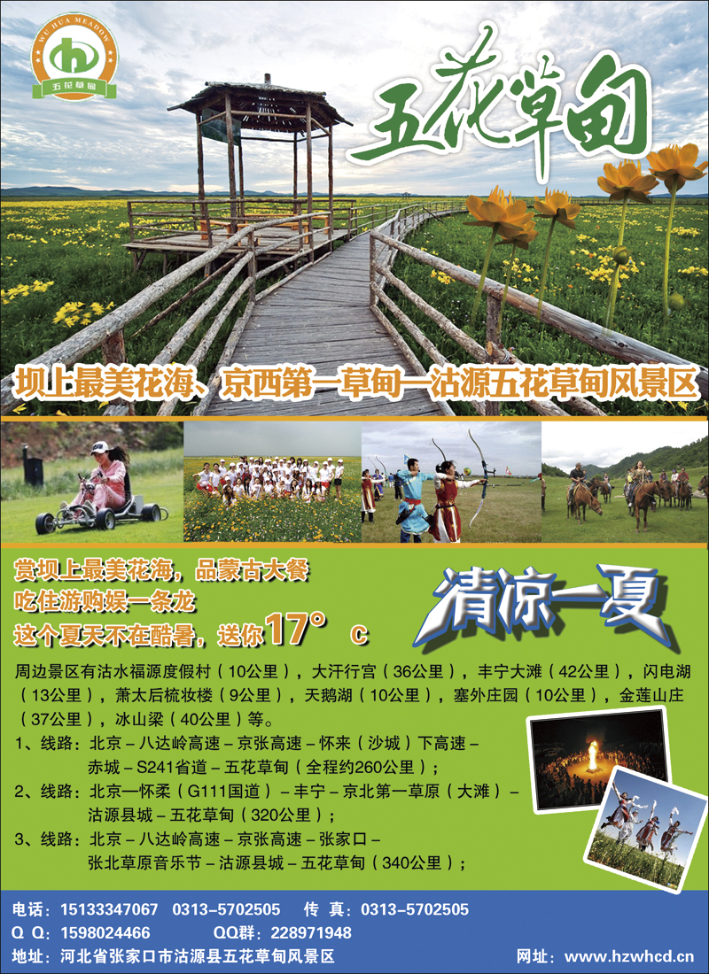 彩19清凉草原花海·坝上五花草甸