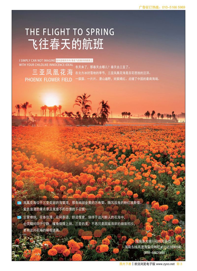 彩3三亚凤凰花海