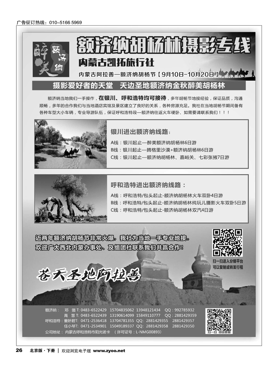 26额济纳胡杨林专线