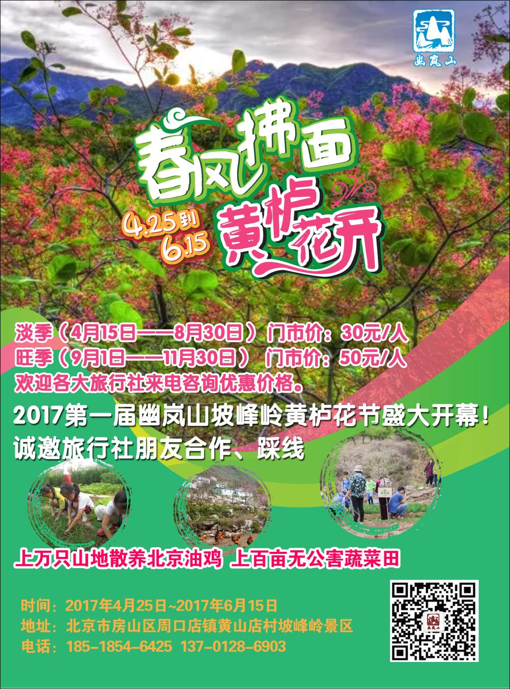 坡峰岭景区黄栌花节盛大开幕封二