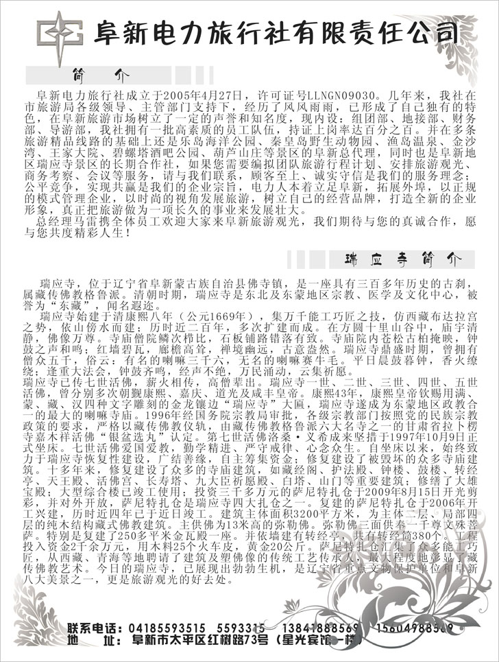 阜新电力