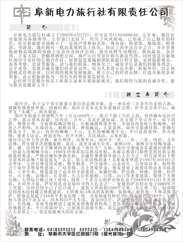阜新电力