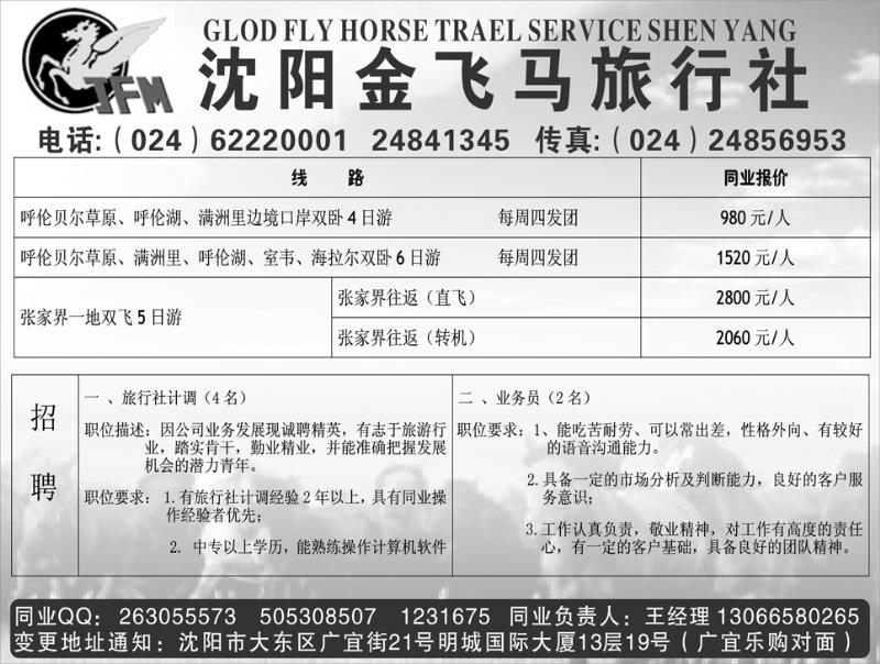 金飞马