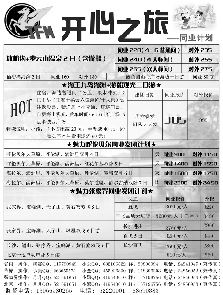 a-p96金飞马