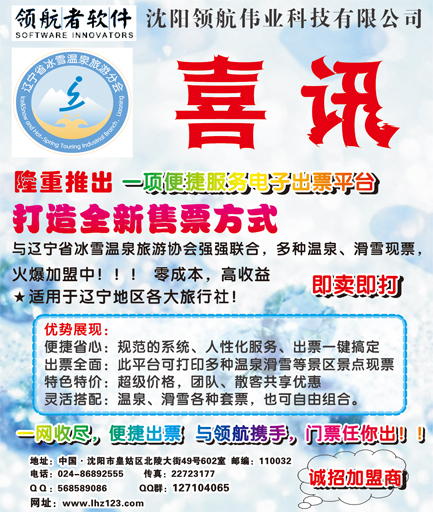 a-彩4沈阳领航侧条
